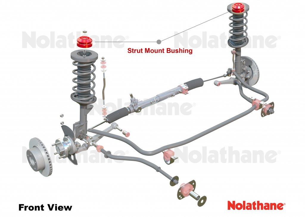 ve commodore strut top